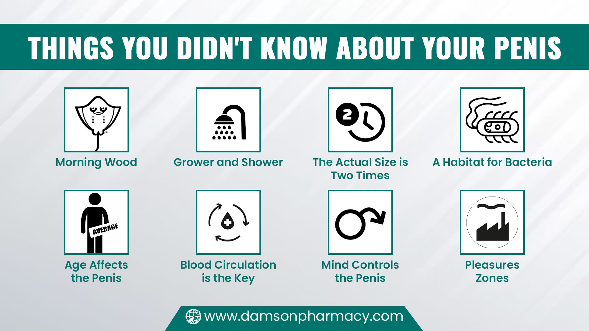 Things You Didn't Know About Your Penis Things You Didn't Know About Your Penis