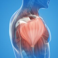 Muscle Relaxants
