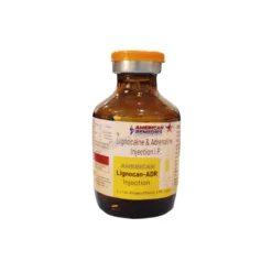 Lignocan ADR Lidocaine and Adrenaline Injection 1