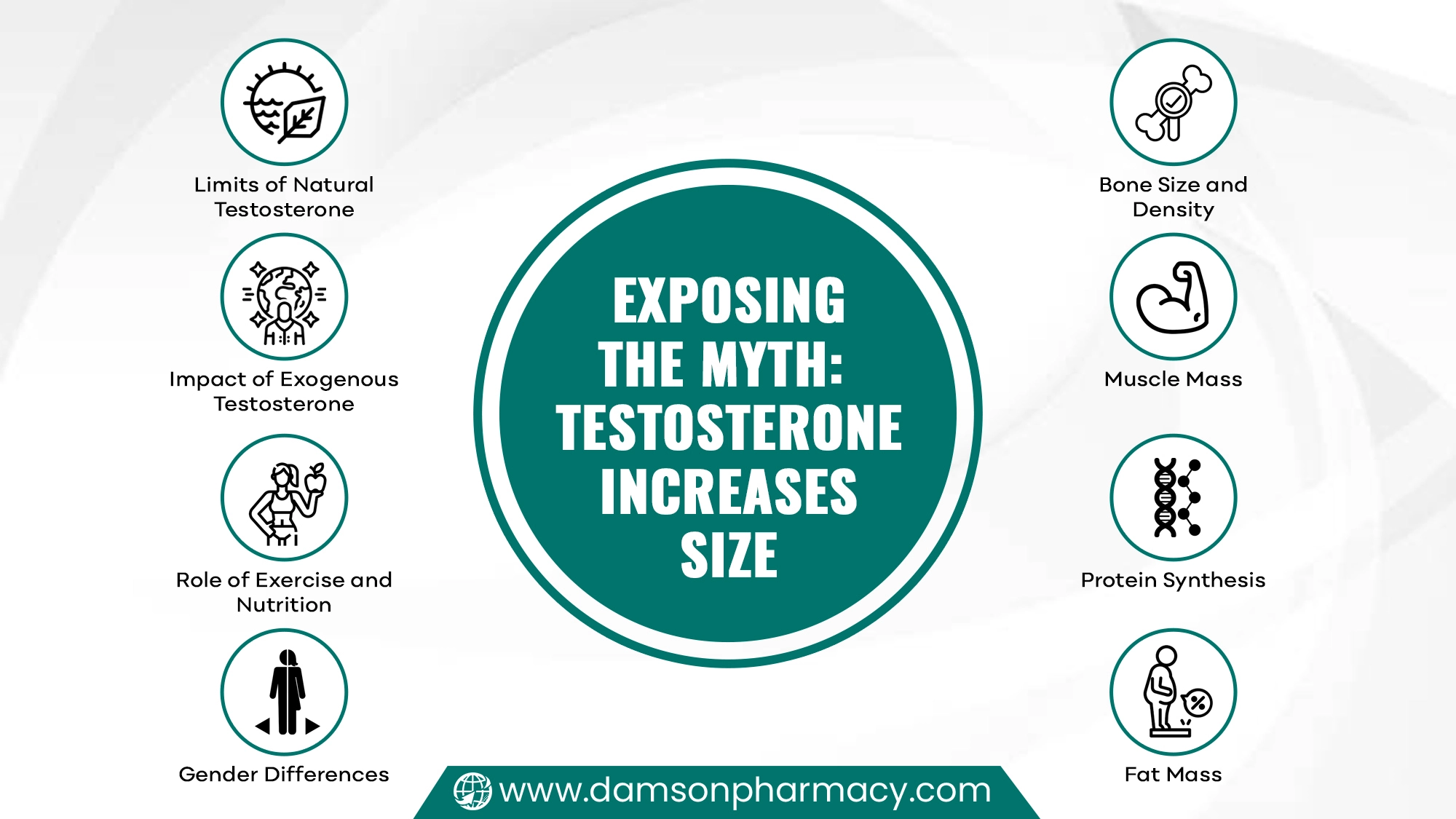 Exposing the Myth Testosterone Increases Size Exposing the Myth Testosterone Increases Size
