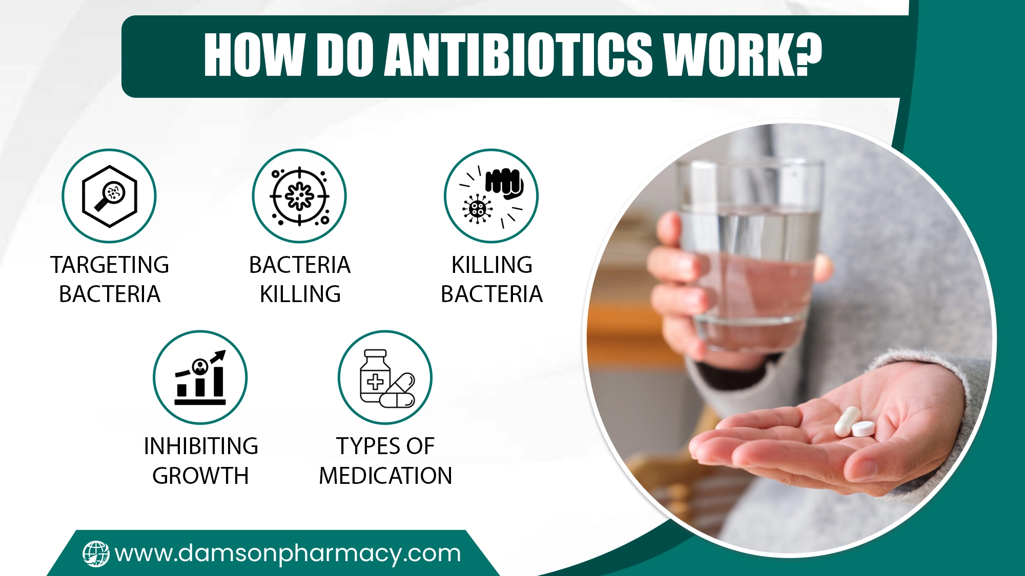 How Do Antibiotics Work?