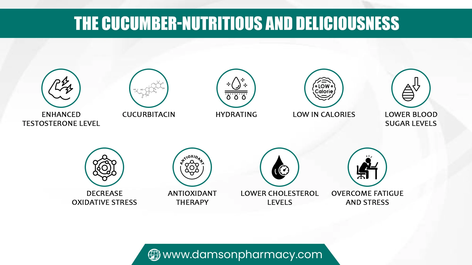 The Cucumber-Nutritious and Deliciousness The Cucumber-Nutritious and Deliciousness